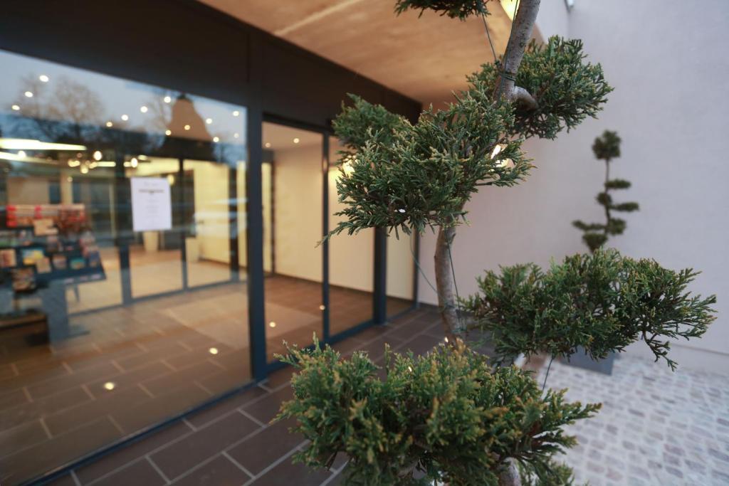 Le Konine - Hotel & Bar & Restaurant Montceau-les-Mines Eksteriør bilde